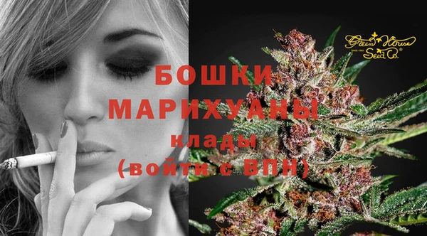 гашик Каменногорск