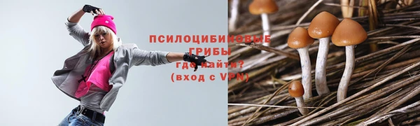 спайс Каменка