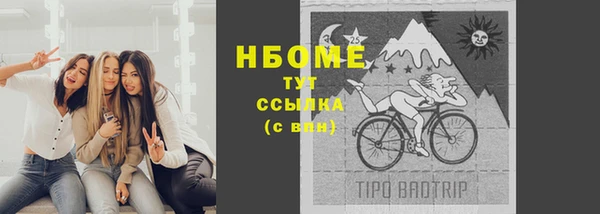 гашик Каменногорск