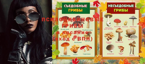 спайс Каменка