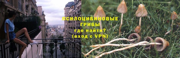 спайс Каменка