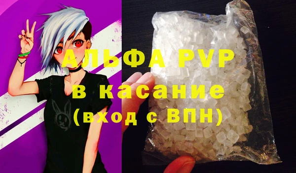 спайс Каменка