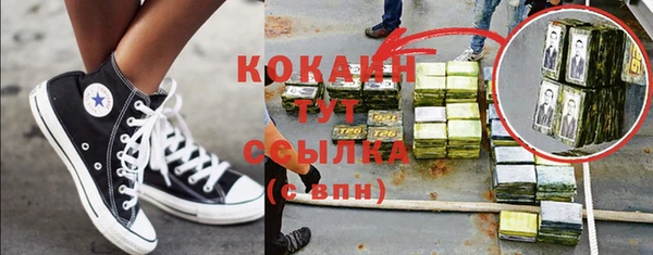 гашик Каменногорск