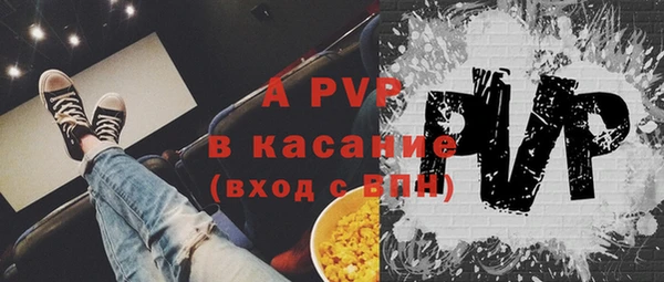 гашик Каменногорск