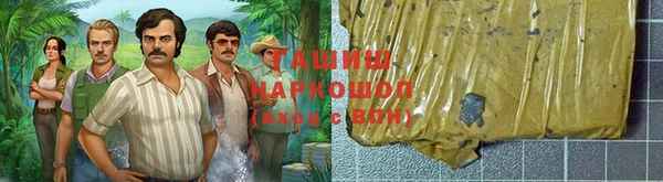 спайс Каменка