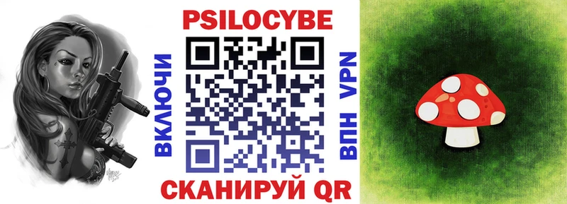 Купить где  Зея  Псилоцибиновые грибы GOLDEN TEACHER 